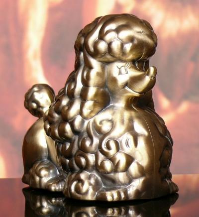 Skarbonka Pies Pudelek