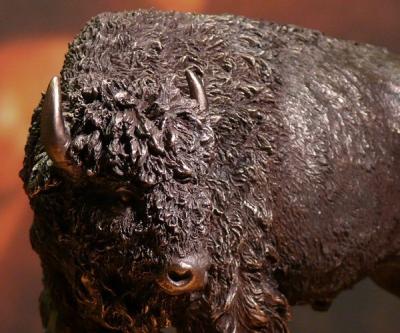 Żubr w brązie Veronese na prezent