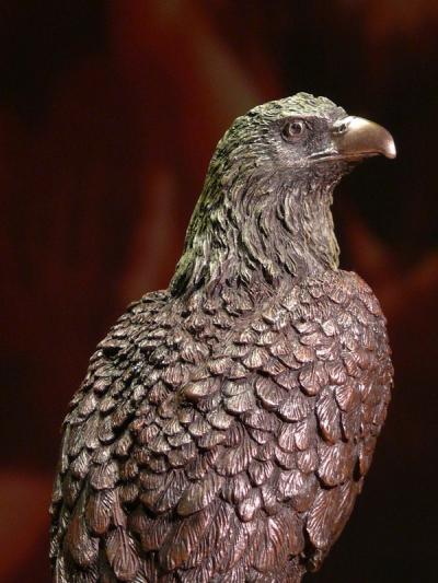 Orzeł Orlik Bielik Veronese