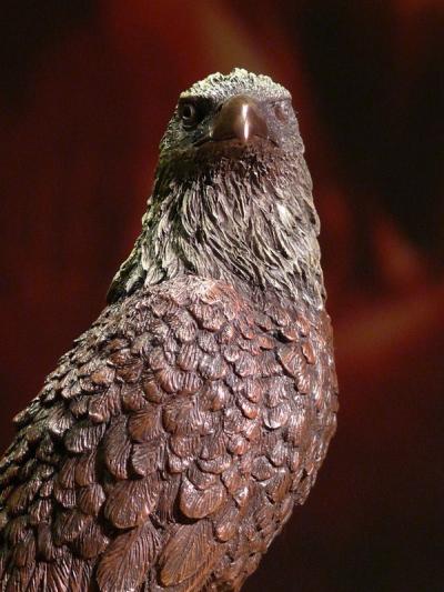 Orzeł Orlik Bielik Veronese