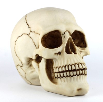 Czacha czaszka Figurka