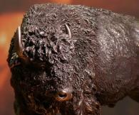 Żubr w brązie Veronese na prezent