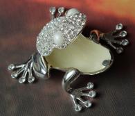 Szkatułka Żaba żabka