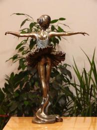 Baletnica jezioro łabędzi