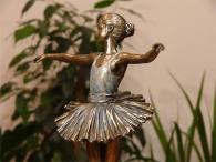 Baletnica jezioro łabędzi