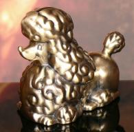 Skarbonka Pies Pudelek