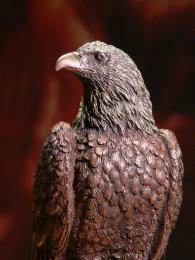 Orzeł Orlik Bielik Veronese