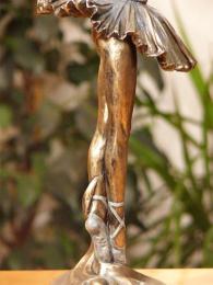 Baletnica jezioro łabędzi