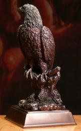 Orzeł Orlik Bielik Veronese