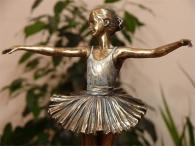 Baletnica jezioro łabędzi