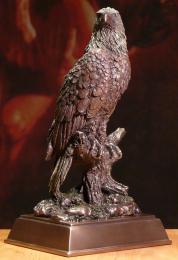 Orzeł Orlik Bielik Veronese