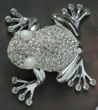 Szkatułka Żaba żabka