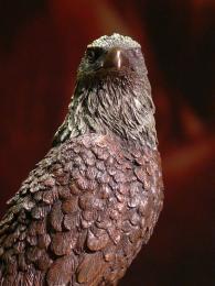 Orzeł Orlik Bielik Veronese