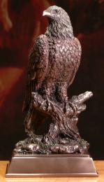 Orzeł Orlik Bielik Veronese