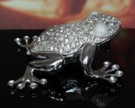 Szkatułka Żaba żabka